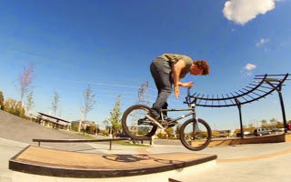 Graham Bird 2014 edit